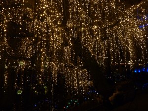 Vuoden aloituksena valoa pimeyteen Kööpenhamisassa.