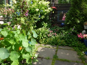 Piha elokuu 2012 009