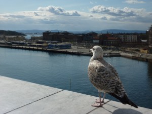 Oslonvuonolle on usea katsellut ja jokunen hukkunut.