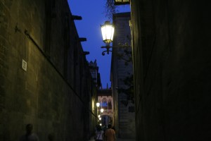 Goottikuja. Kuva: Jani Ahti