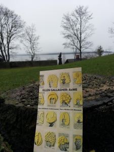 Näyttelymainos kohti marraskuista Näsijärveä.