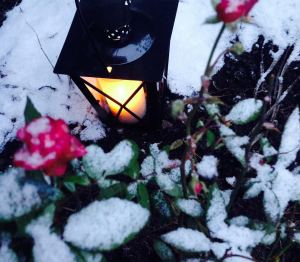 Toiveikasta talvimieltä!