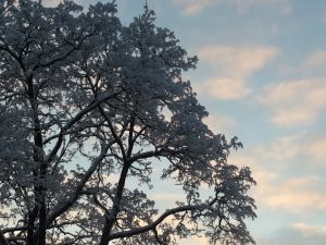 Hyvän kirjan kanssa on jalat maassa ja pää pilvissä; on avaruutta, mutta myös kirpeyttä, juurevuutta ja sulavuutta. 