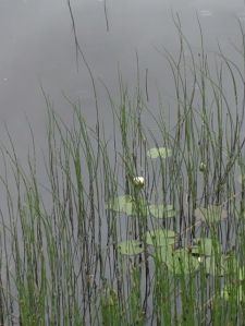Romaanissa liikutaan syvissä ja vaähän matalammissakin vesissä.