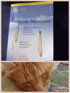 Kyllä kaivattaisiin Nakataa juttelemaan löytökissa-Klasun kanssa, mistä katti on tullut ja mitä kokenut.