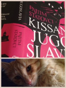 Mustavalkoisia kissoja on Suomessa, oranssinvaaleita Kosovossa. Tai voi olla.