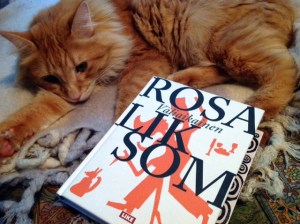 "Tämän joulukuun mie olen istunu kissan kanssa pirtissä ja kattelemma toisiamma aamusta ilthaan niiko vastarakastuhneet pruukaava tehä."