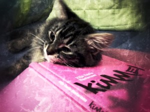 On pinkkiä, jasöpöä; sen takana on rohkeutta ja epävarmuutta.