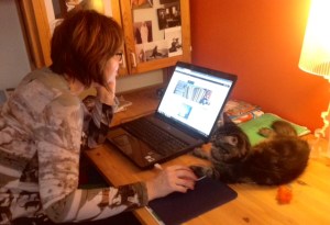 Bloggaaja-apulainen ja oman bloginsa (https://almanrunot.wordpress.com/) päivittäjä Alma-kissa auttaa parhaansa mukaan.