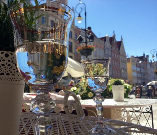 Näissä näkymissä kirjaa lukemassa, lasissa lukutunnelmaan sopivasti gdanskilainen erikoisuus: vodkapohjainen likööri lehtikultahippuineen.