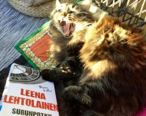 Lehtolaisen luomat henkilöt ovat monesti kissaihmisiä. Näin hurjaa menoa ei kyllä kirjoissa ole.