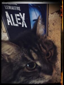 Uups, mihin ne rotat katosivat?