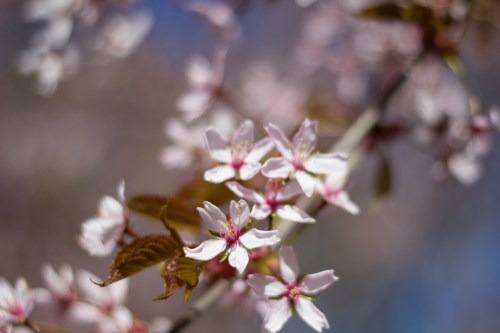 Touko_img_4277_1_1 (2)