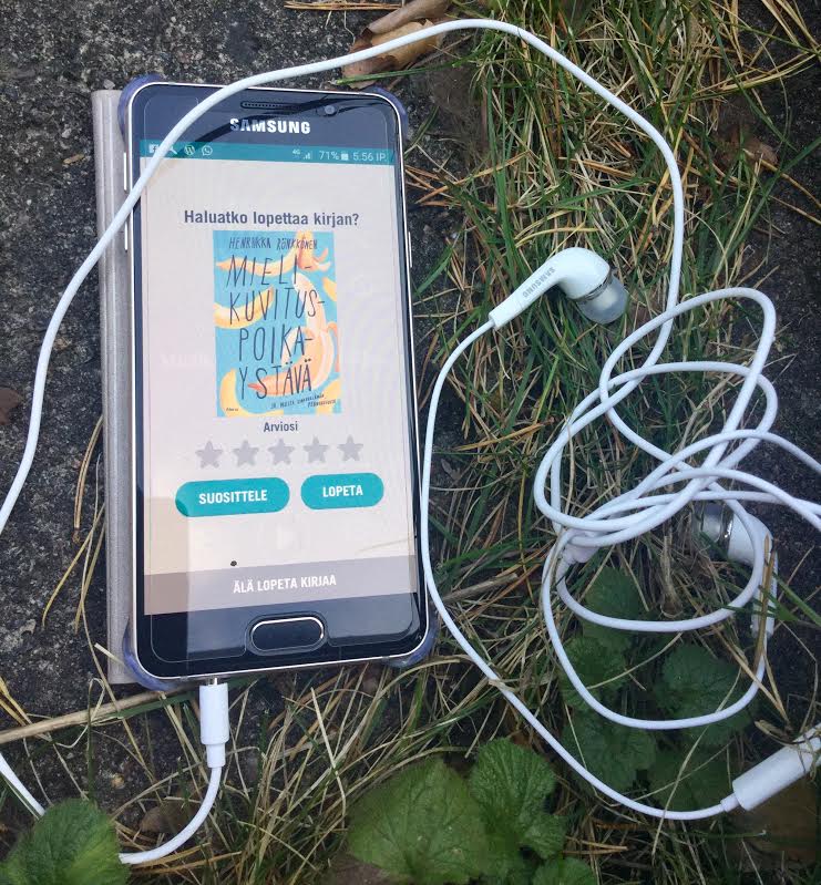 mielikuvituspoikaystava