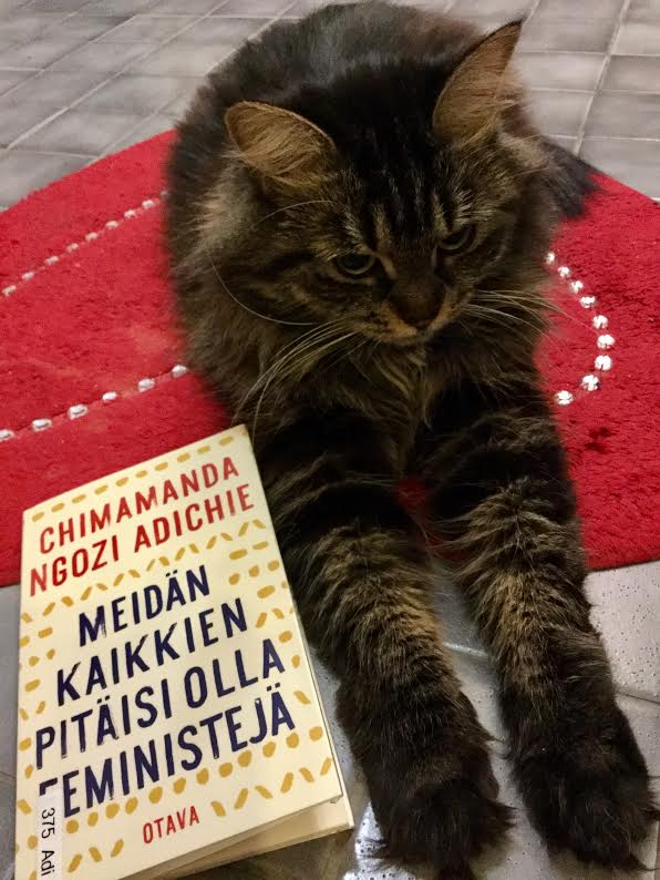 meidan-kaikkien-pitaisi