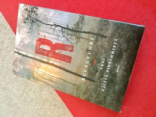 Yksi näistä pienemmistä