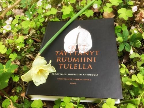 Olet täyttänyt minut tulella