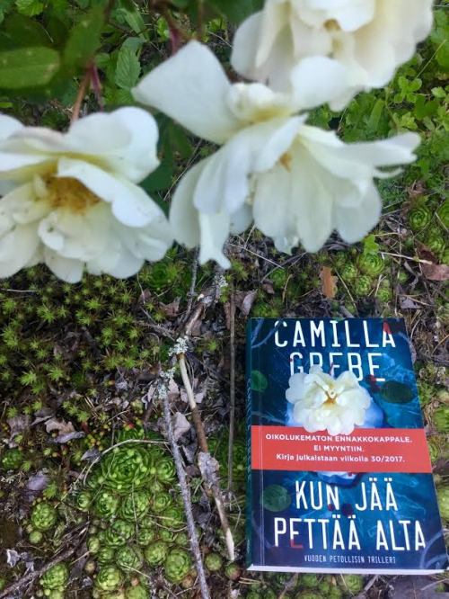 Kun jää pettää alta