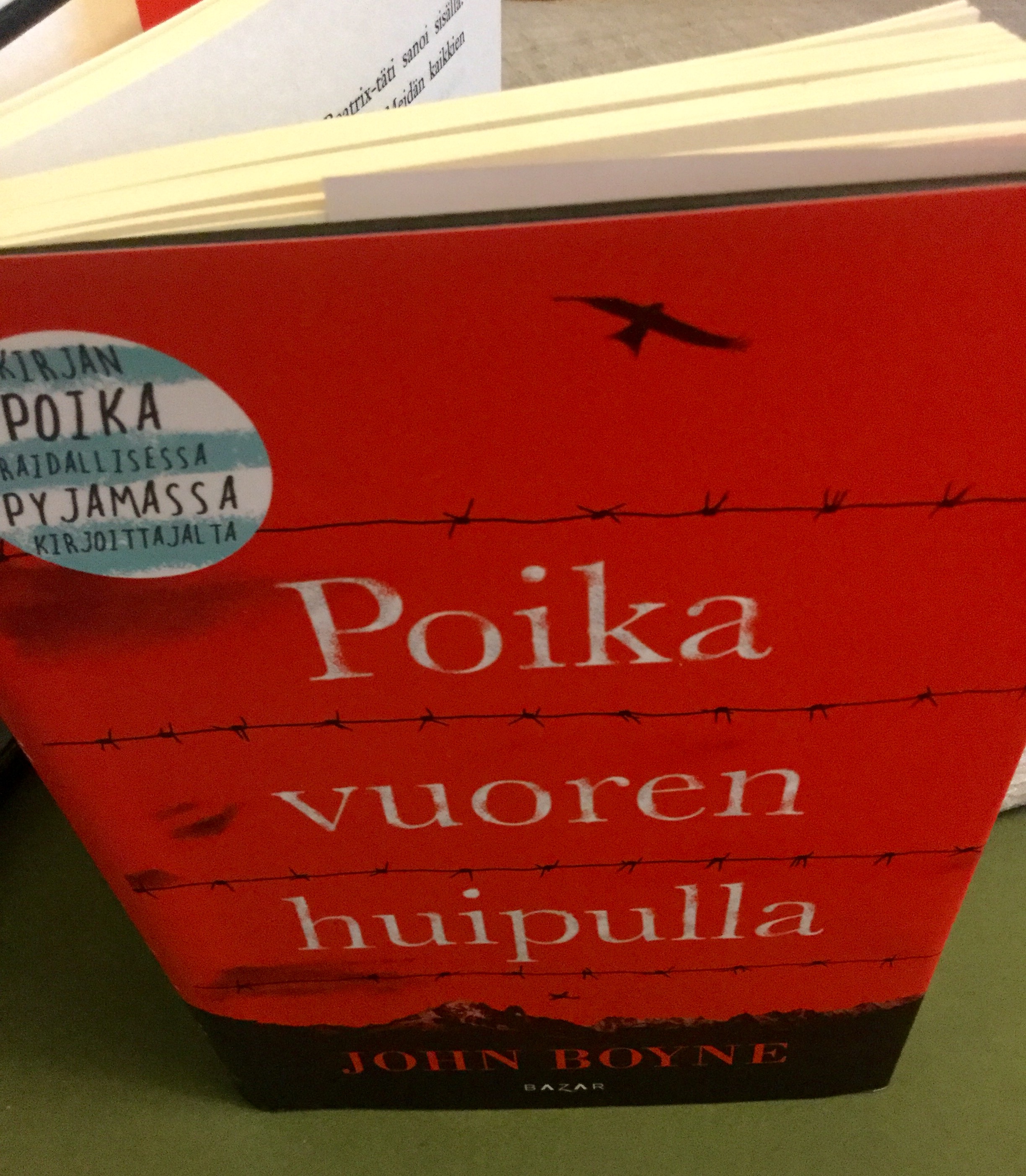 Poika korkealla vuorella