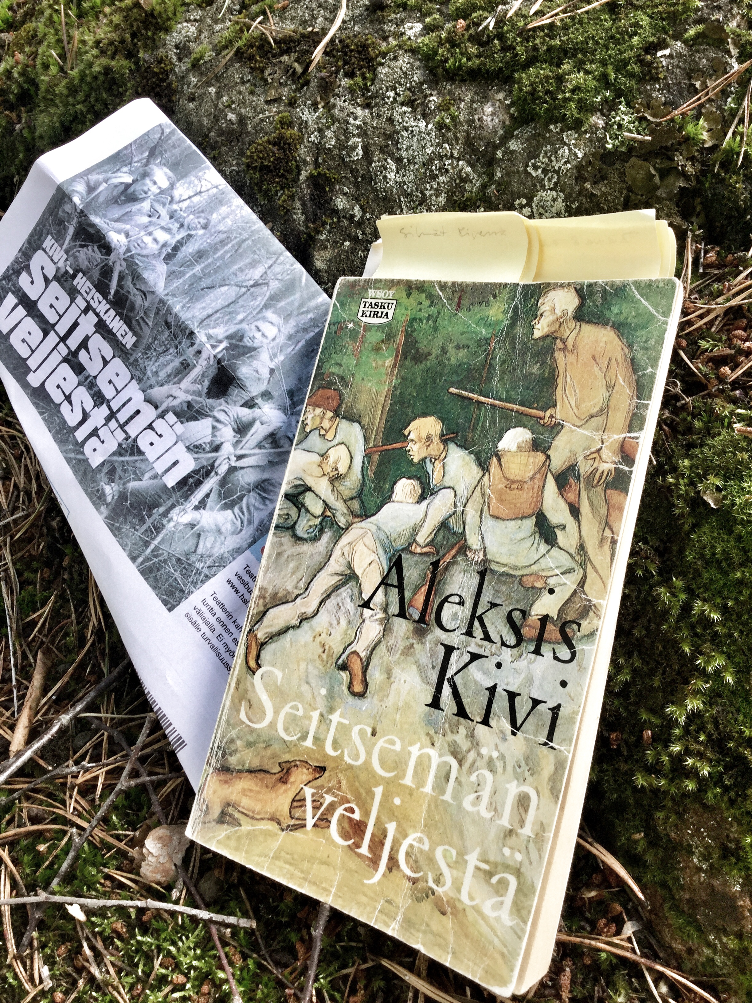 Seitsemän veljestä