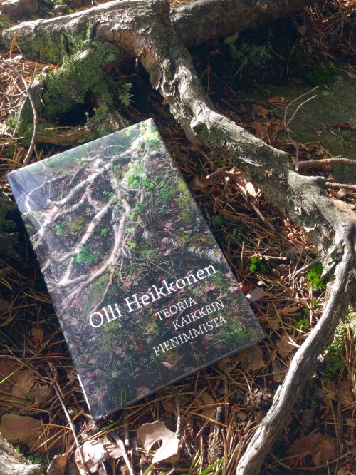 Teoria kaikkein pienimmistä.jpg
