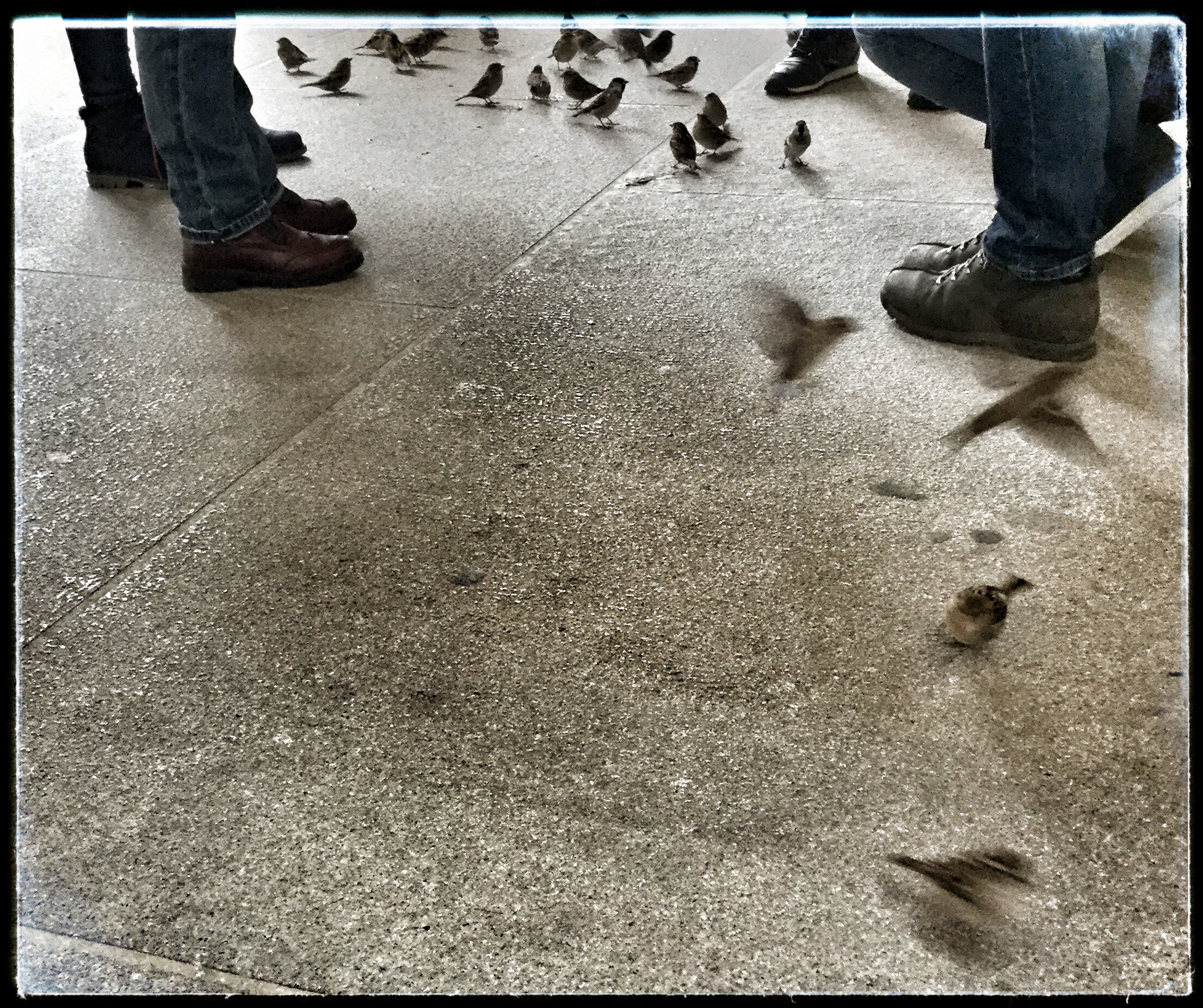 Varpuset ja aika.jpeg