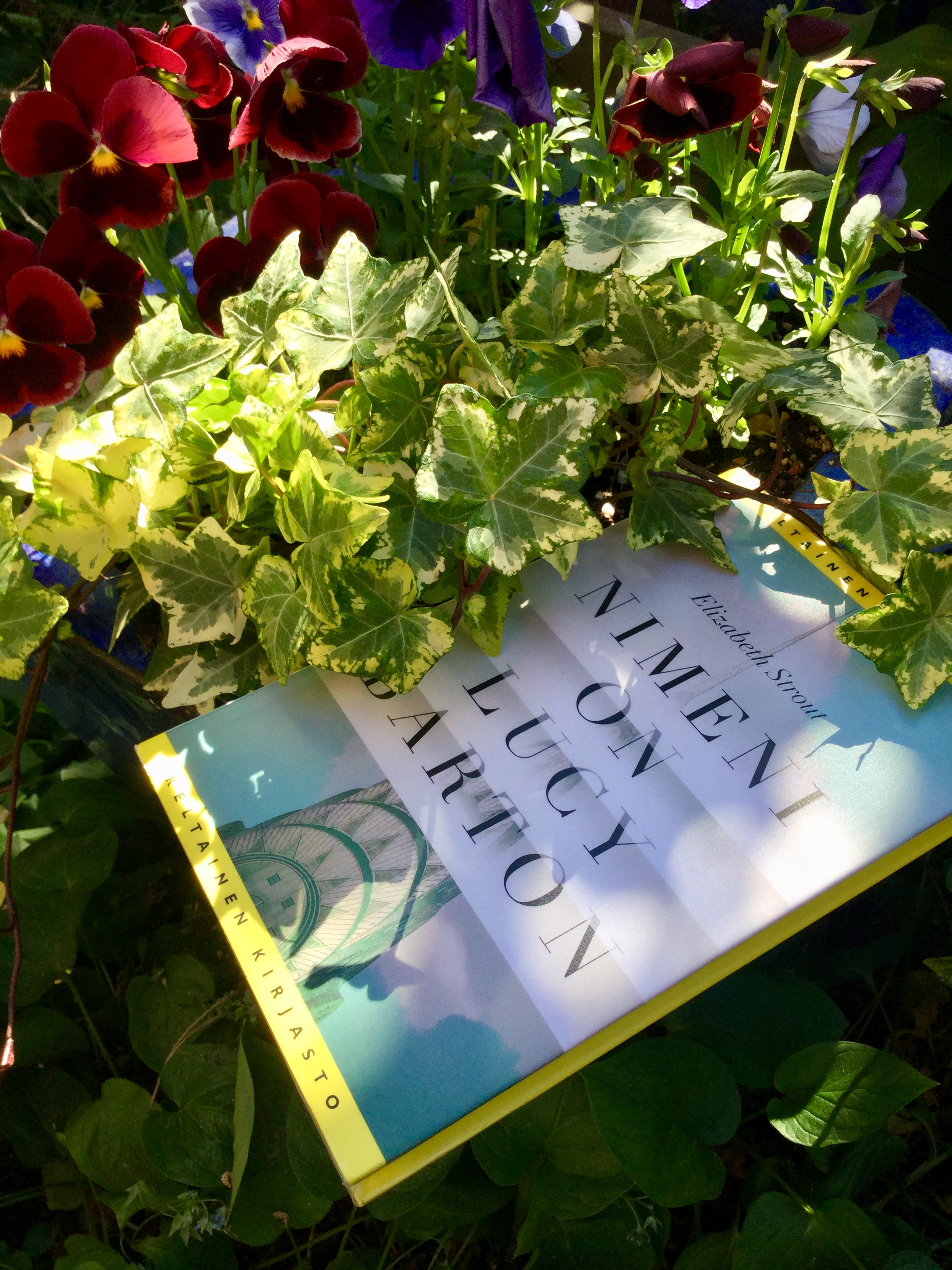 Nimeni on Lucy Barton